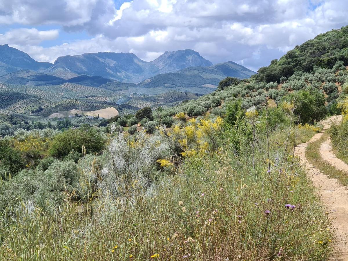Casa Alta Holiday Home El Esparragal  Dış mekan fotoğraf